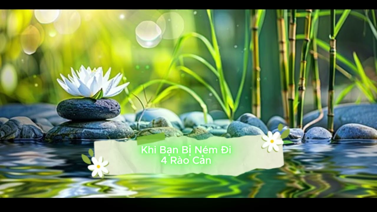 Tâm Của Ta Ở Đâu Hạnh Phúc Của Ta Ở Đó - P23 - tủ sách Trí Tuệ - giọng đọc Ngọc Khánh