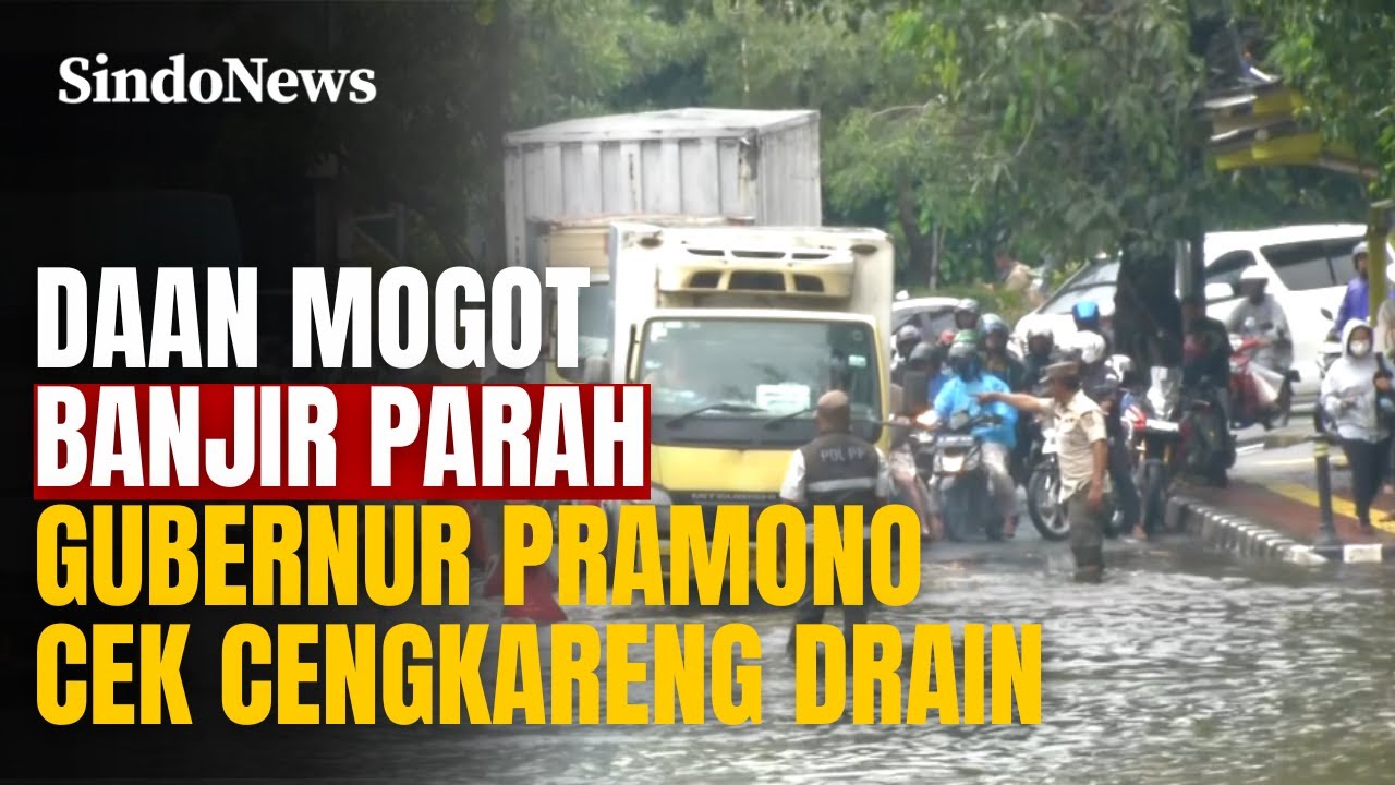 Daan Mogot Banjir Parah, Gubernur Pramono Cek Cengkareng Drain | Sindo Trending