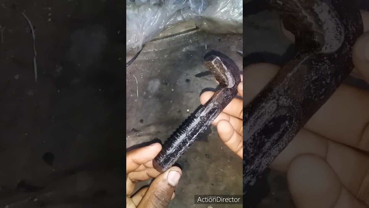 تجارب مده مزيل صدا من 12Q