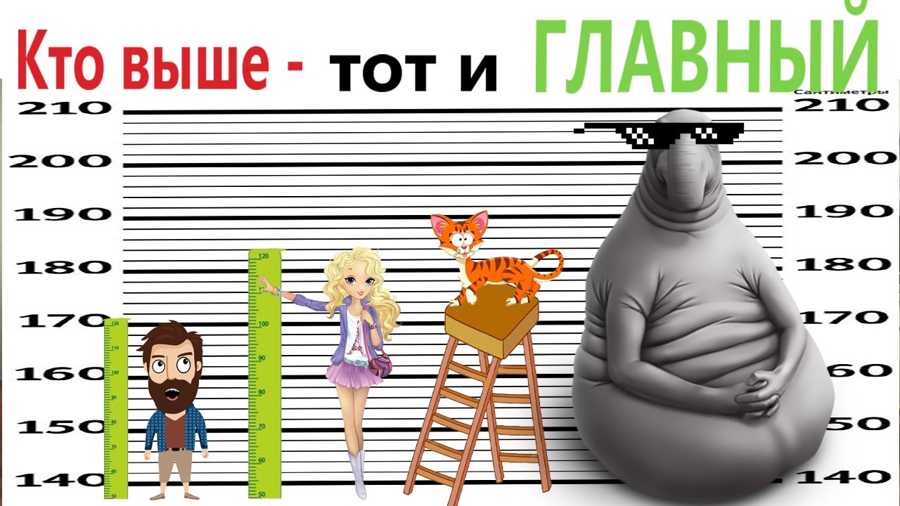 Приколы! КТО ВЫШЕ - тот и ГЛАВНЫЙ! Смешные видео - Доми шоу!