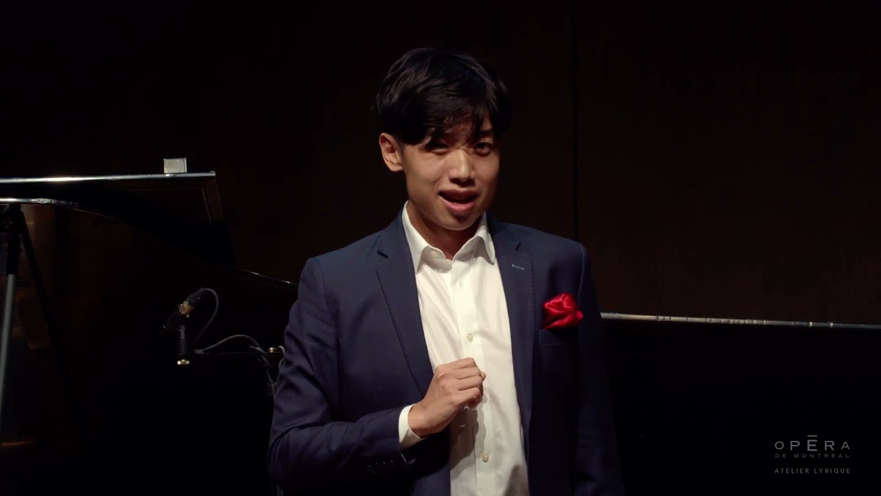 Bass Matthew Li - Madamina, il catalogo &egrave; questo (Don Giovanni) - Wolfgang Amadeus Mozart