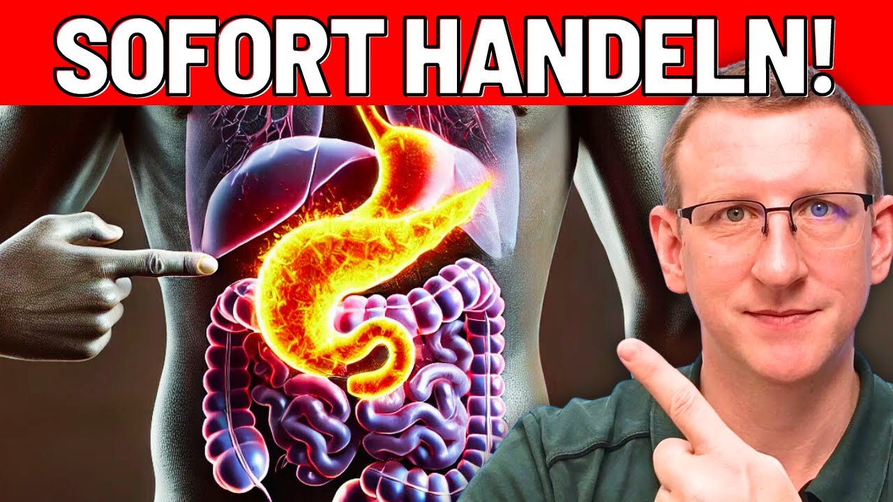 Bauchspeicheldrüse: Diagnose & Therapie - HANDLE SOFORT!