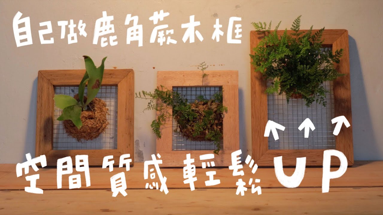 簡易木工DIY鹿角蕨兔腳蕨超美木框！用這招瞬間提升空間質感｜山小日子Sam's daily production