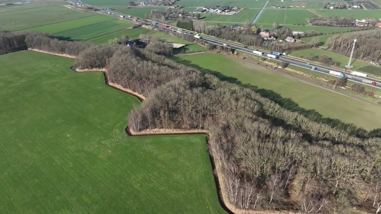 Den Hout - Linie van Den Hout