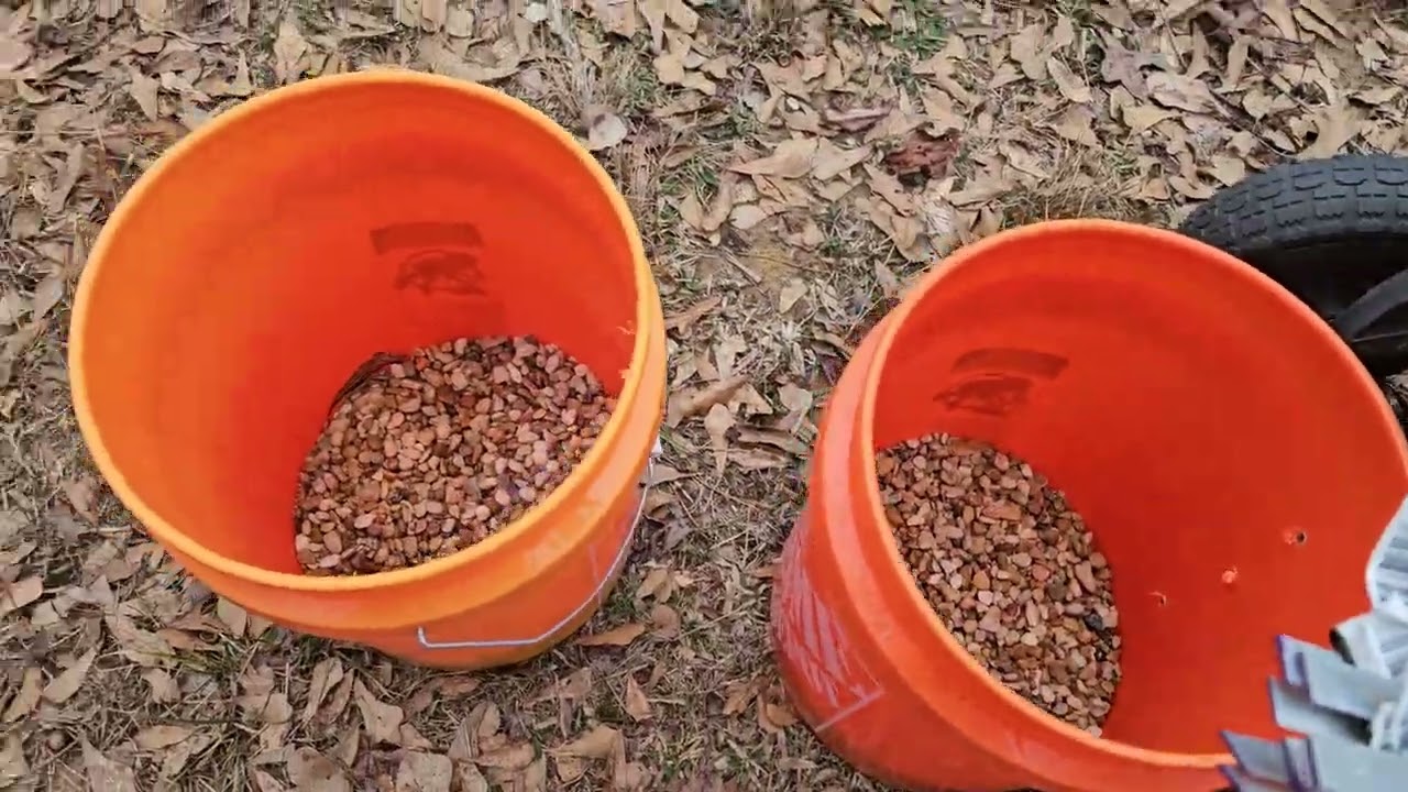 Progress on the rabbit colony