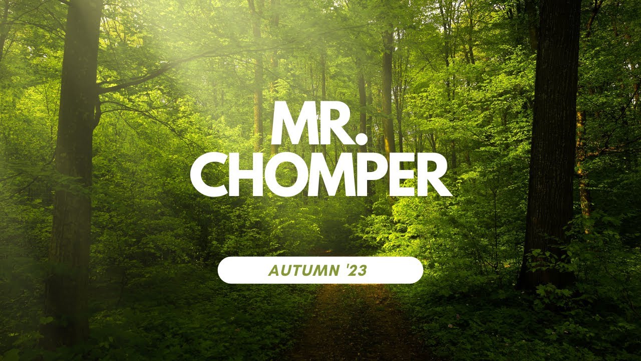 Mr Chomper, Nelson MTB