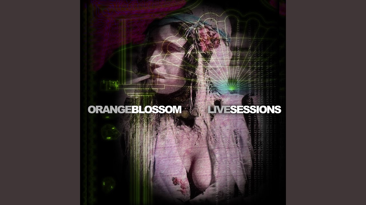 Die Stadt (Blossom Live Sessions)