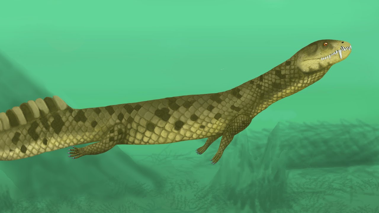 Vancleavea: An Odd Aquatic Reptile From The Triassic Period