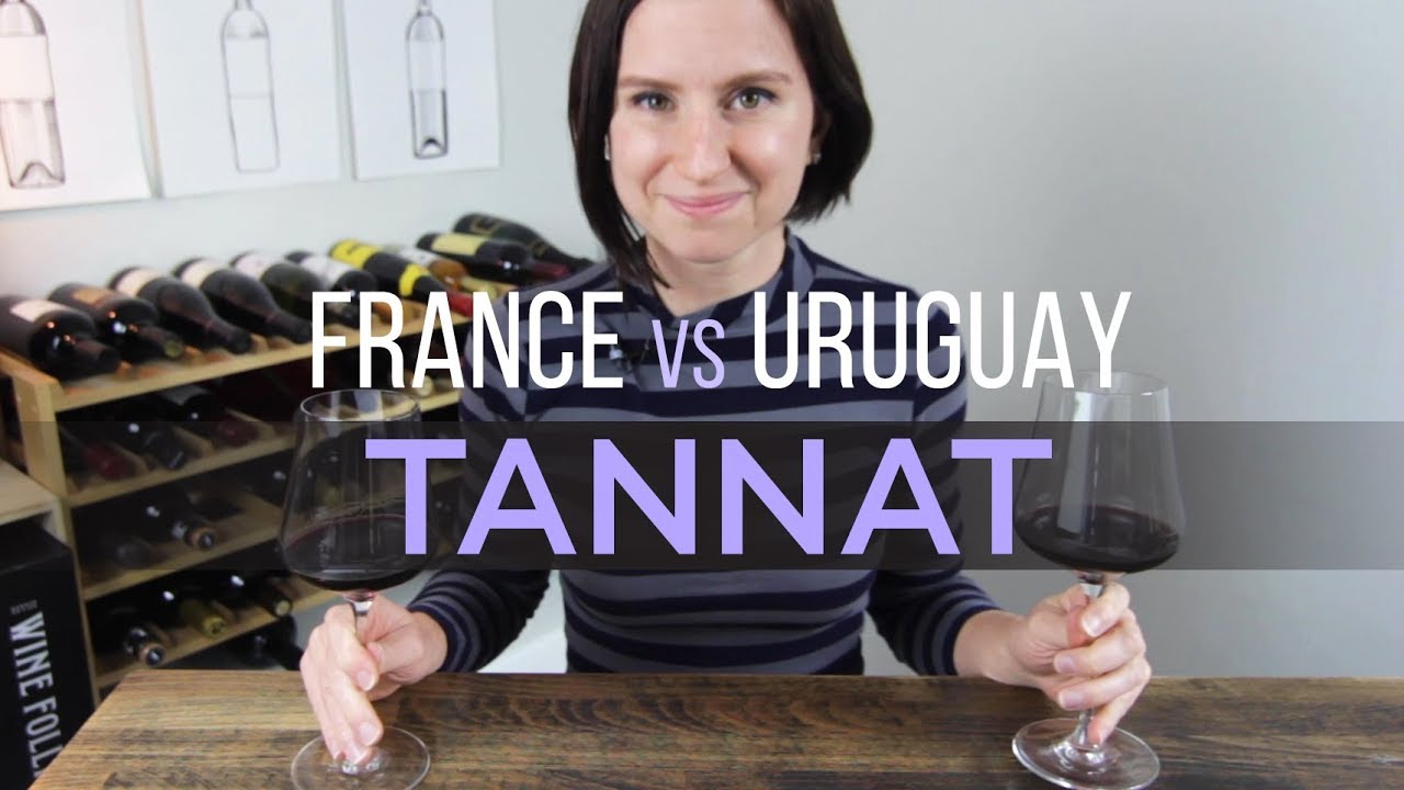 France vs Uruguay Tannat Wine