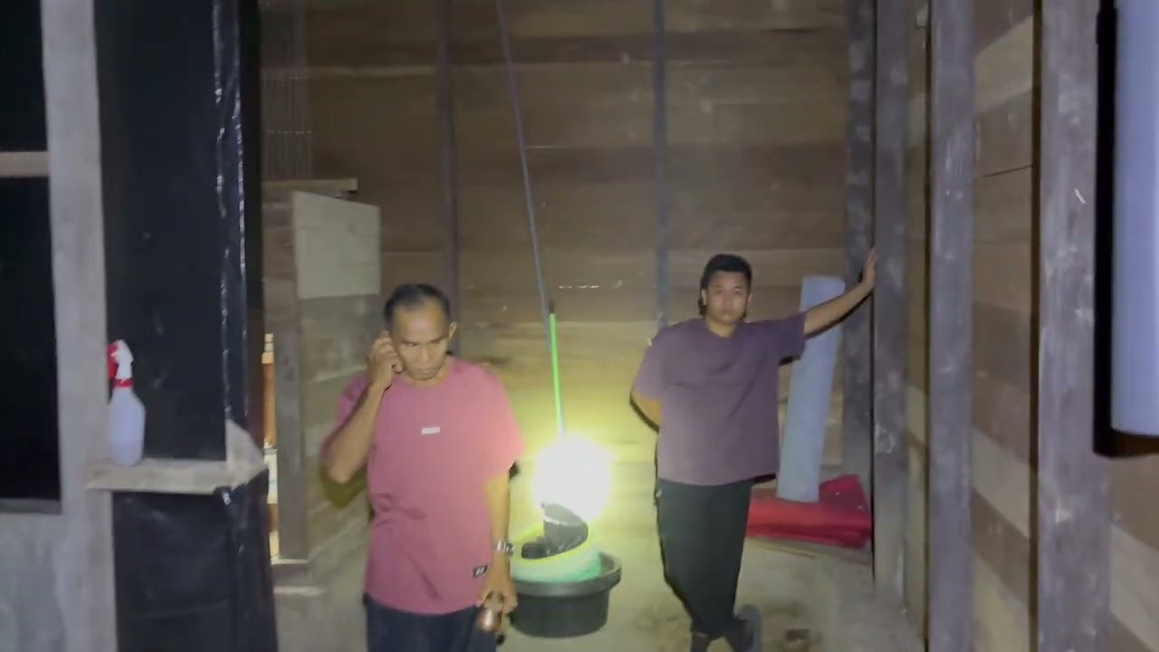Alhamdulillah sudah tembus ratusan sarang walet nya, simak settingan di ruang ampli nya ya bossQ 😉