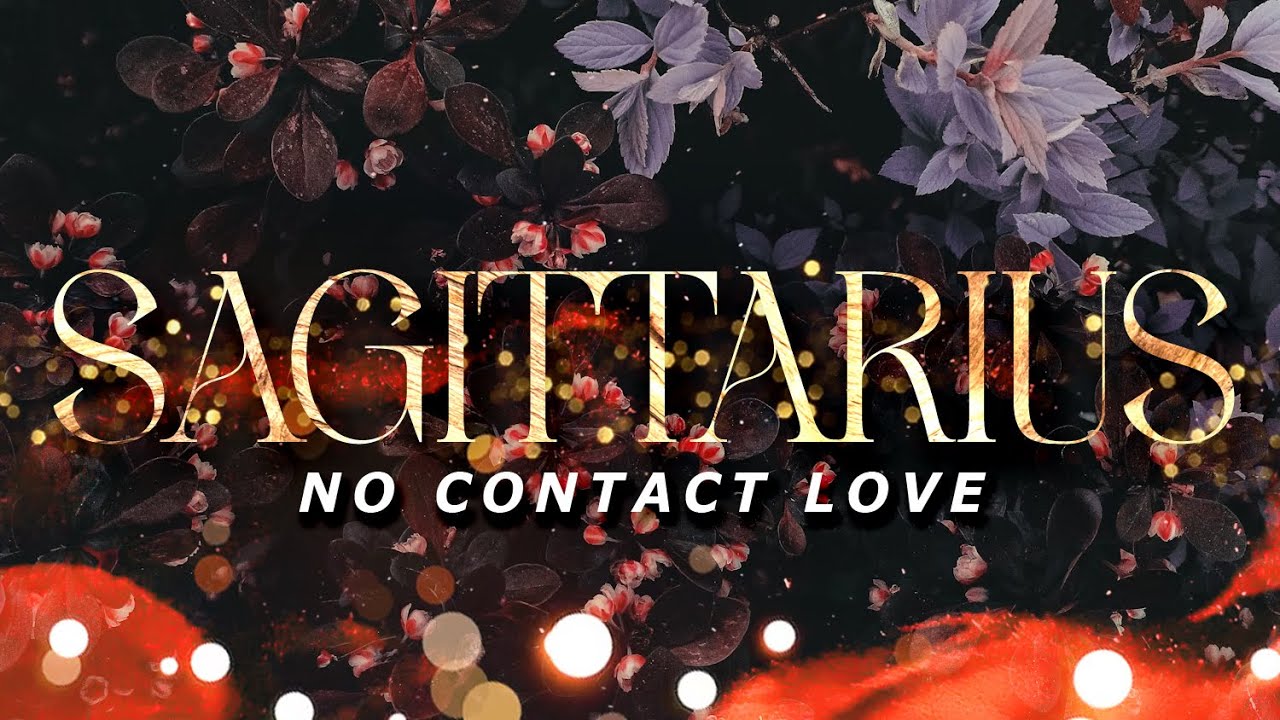 SAGITTARIUS No Contact - Coming Back With *Terms & Conditions | Aug28-Sep3
