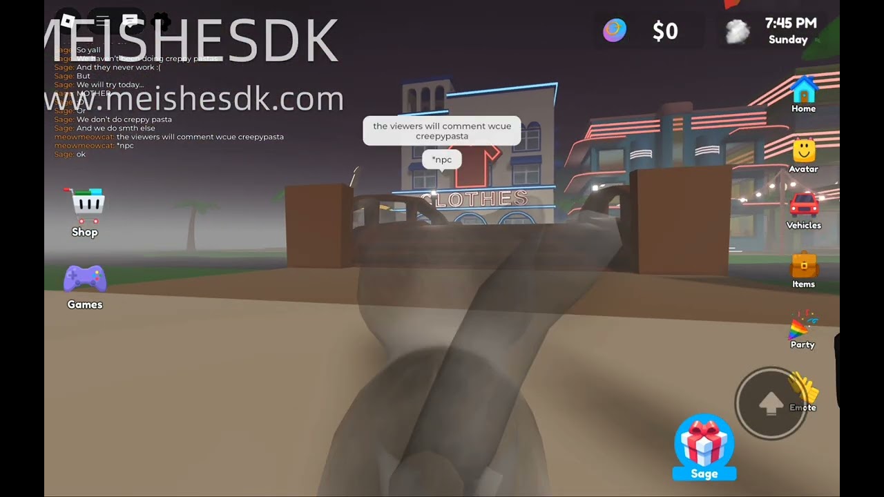 Pet party RP with a friend