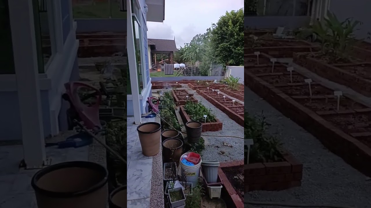 [ Kebun BANDAR ] Perasap kebun Bandar