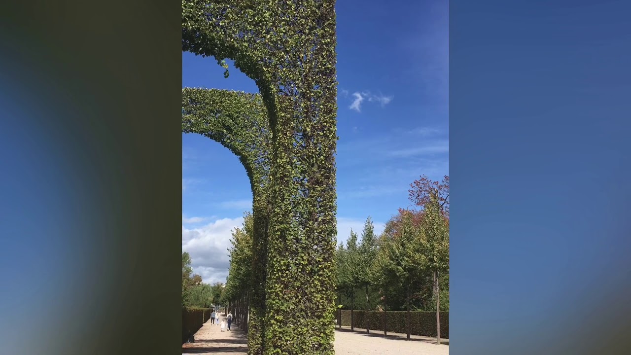 When in Germany
