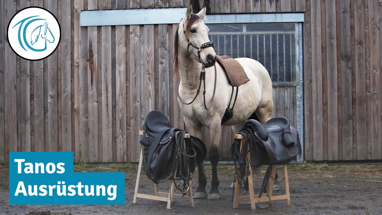 Unser Equipment - Sättel und Kopfstücke