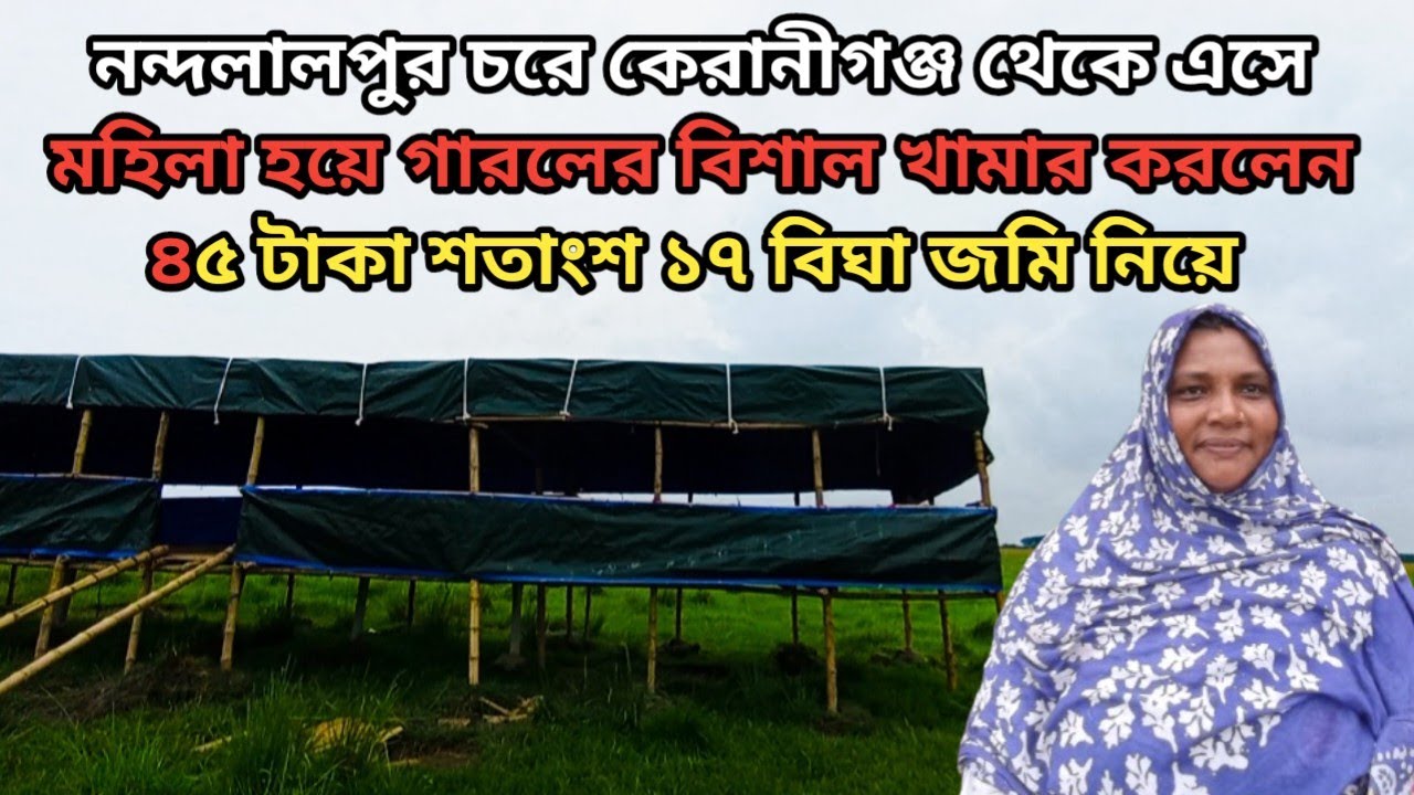 কেরানীগঞ্জ থেকে এসে হাবিবা আপা নন্দলালপুর চরে ৪৫ টাকা শতাংশ ১৭ বিঘা জমি নিয়ে বিশাল গারলের খামার করেন