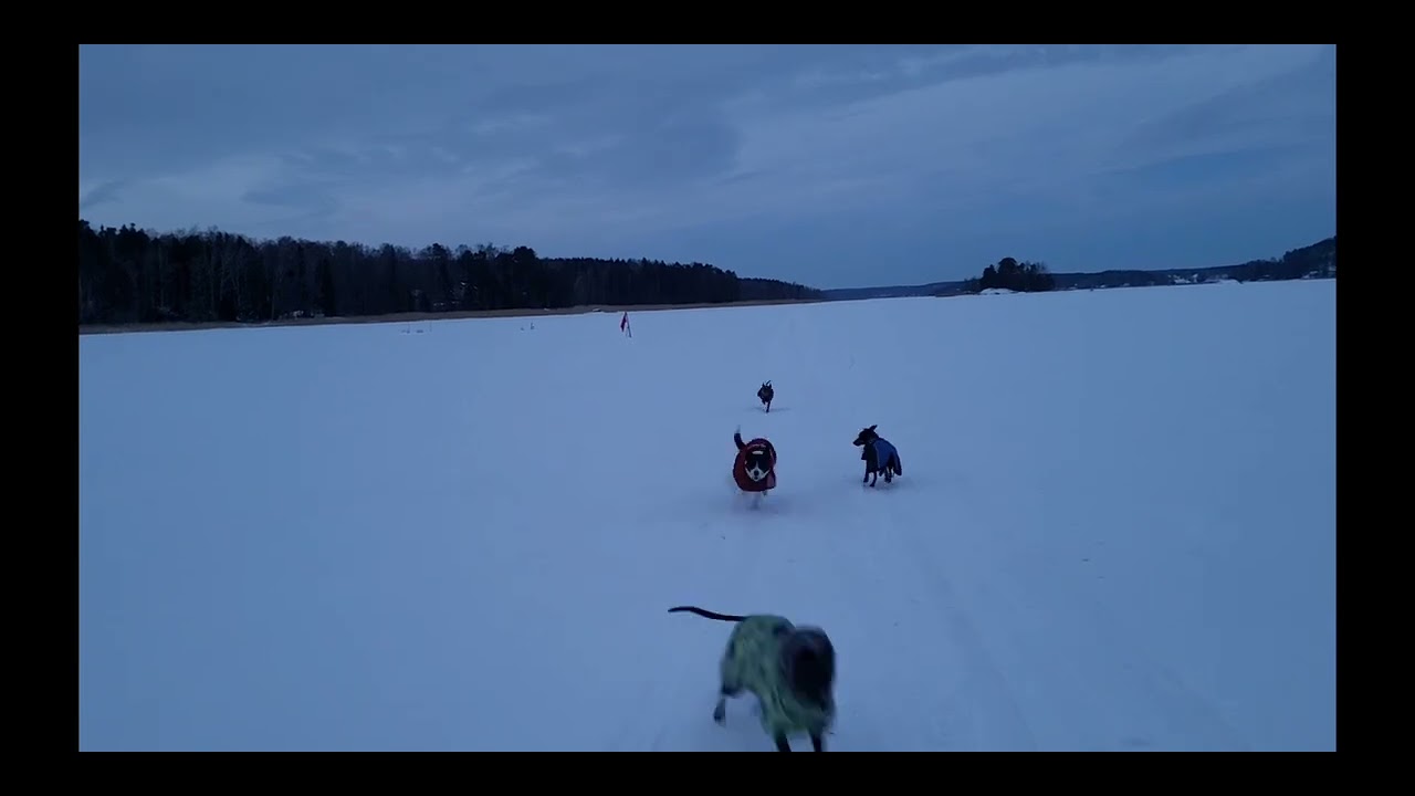 Jäällä 18.2.2026