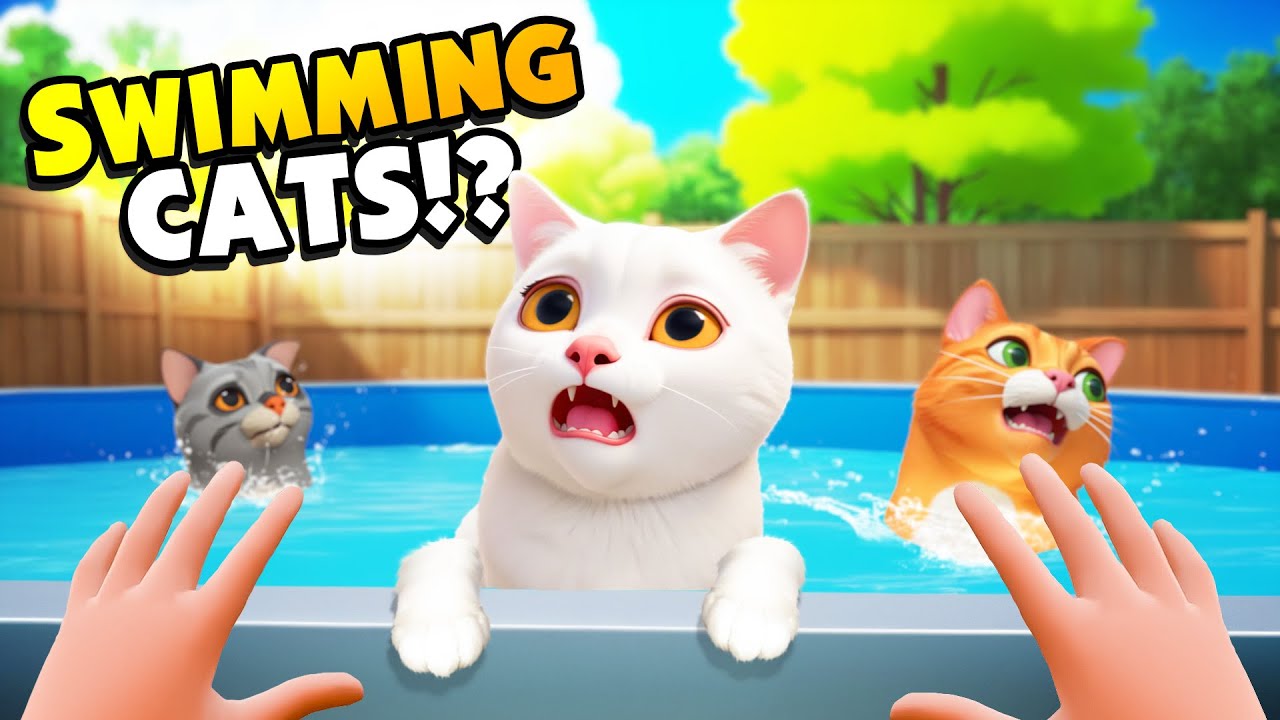 Teaching CATS TO SWIM Was A Big Mistake!