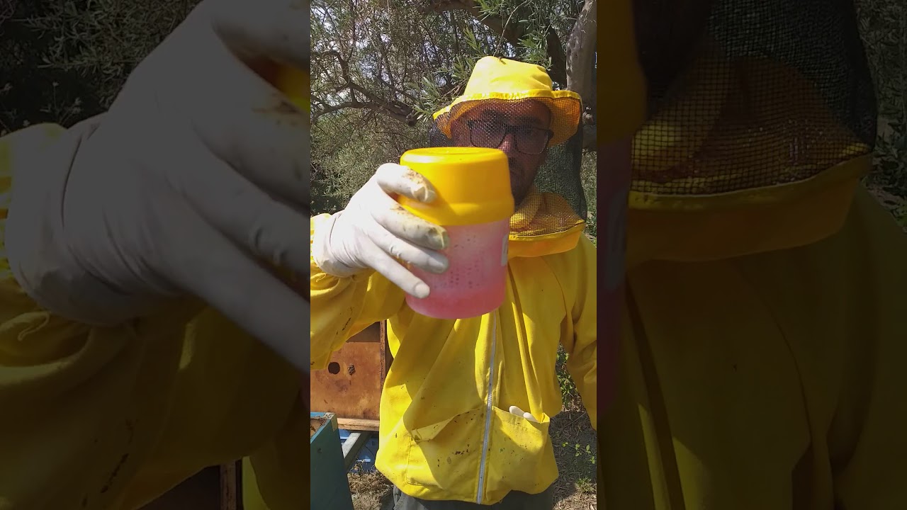 Test di controllo della varroa con il 