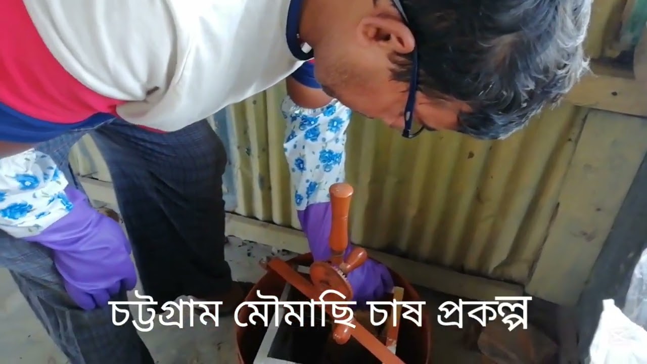 চট্টগ্রামে খাঁটি মধু সংগ্রহ প্রক্রিয়া| চট্টগ্রাম মৌমাছি চাষ প্রকল্প।সেরেনা মৌমাছির প্রাকৃতিক মধু 🐝🍯