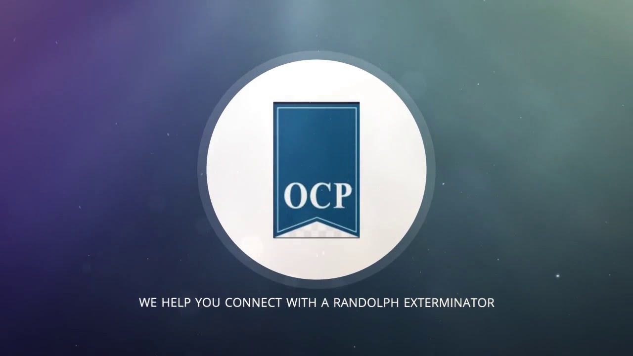 ocp certified bed bug exterminator in randolph MA