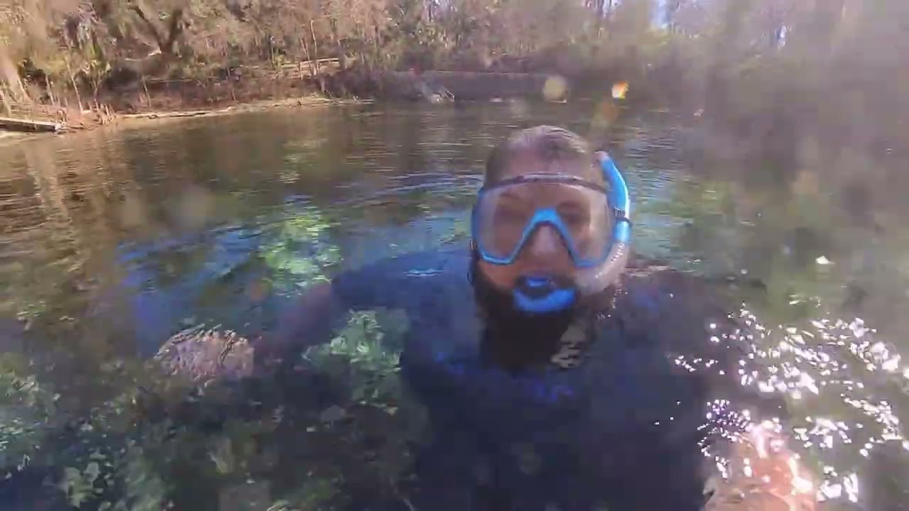 Swimming with a Lovely New Friend! Plus Manatees!