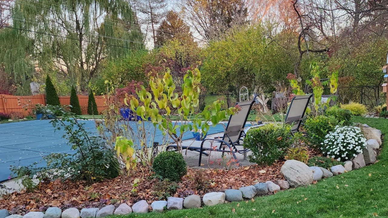 Mid November Garden Walkabout Vlog 🥀🍂🪹// Suburban Oasis