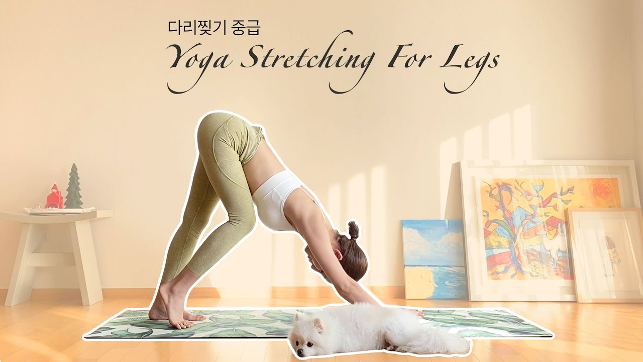 다리찢기 도전 / 중급자용 / Lv2 / 하누만아사나