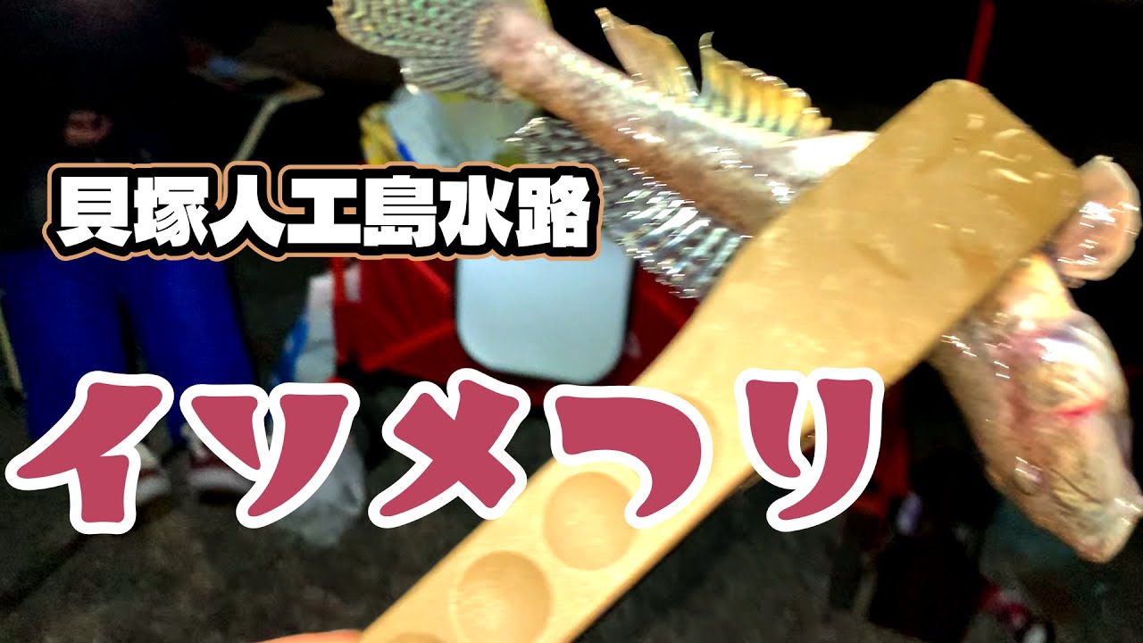 こんなに寒くても釣れるんですね！【貝塚人工島　水路】