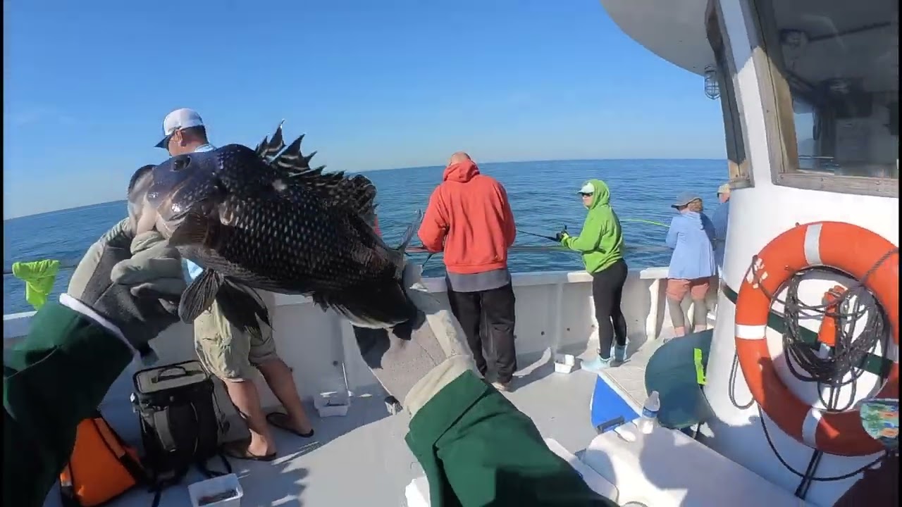👍 Captain Bob Headboat Delaware Saltwater Fishing, 29 June 2022