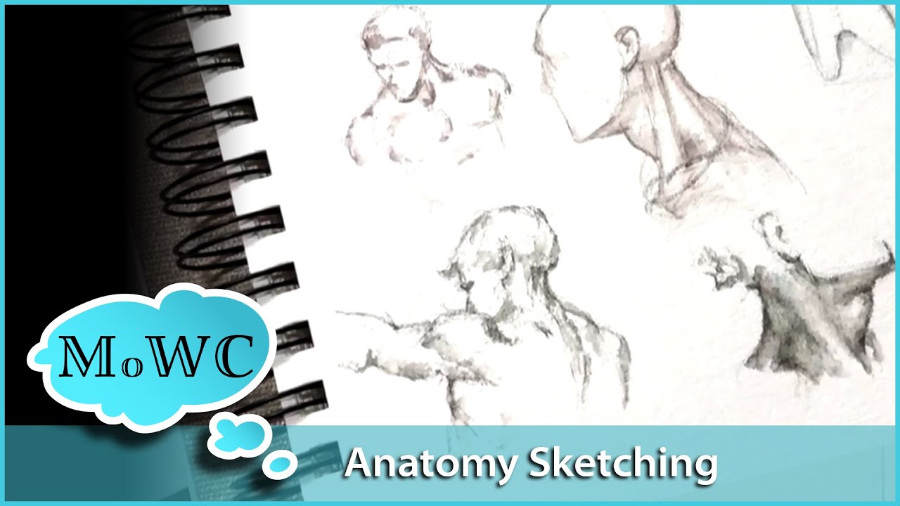 Anatomy Sketching with Water Soluble Graphite