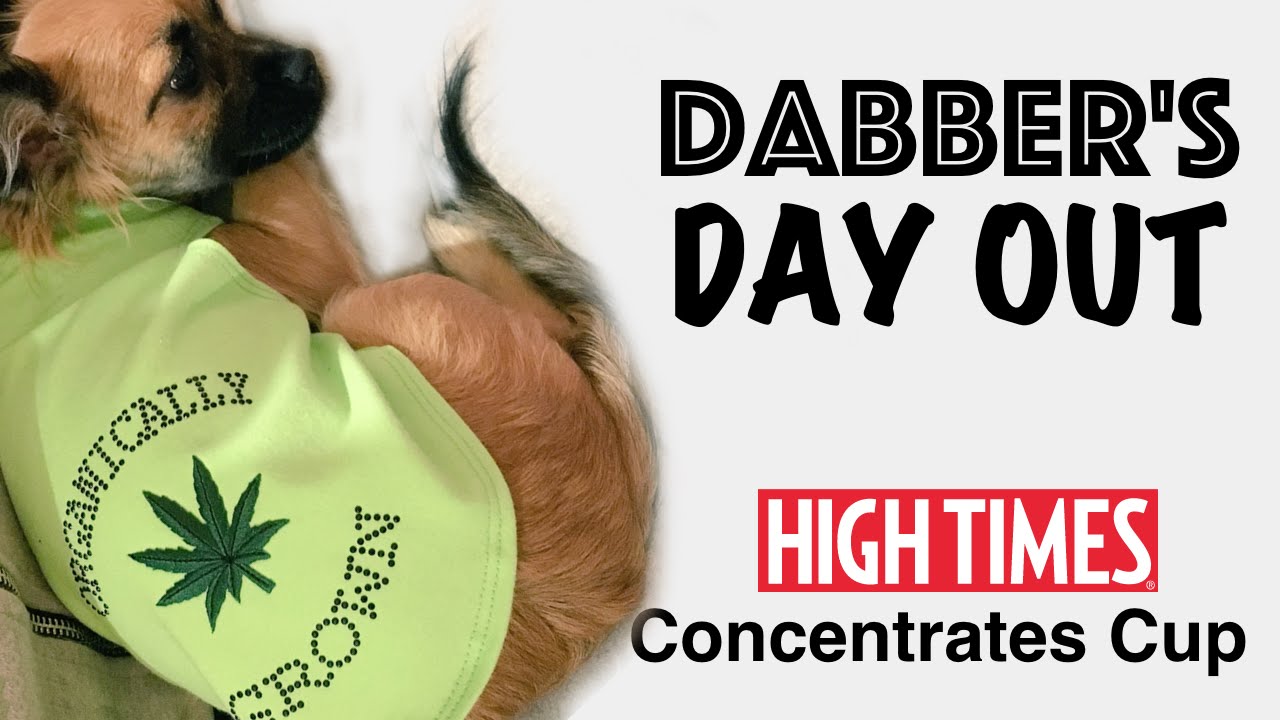 Dabber's Day Out | 