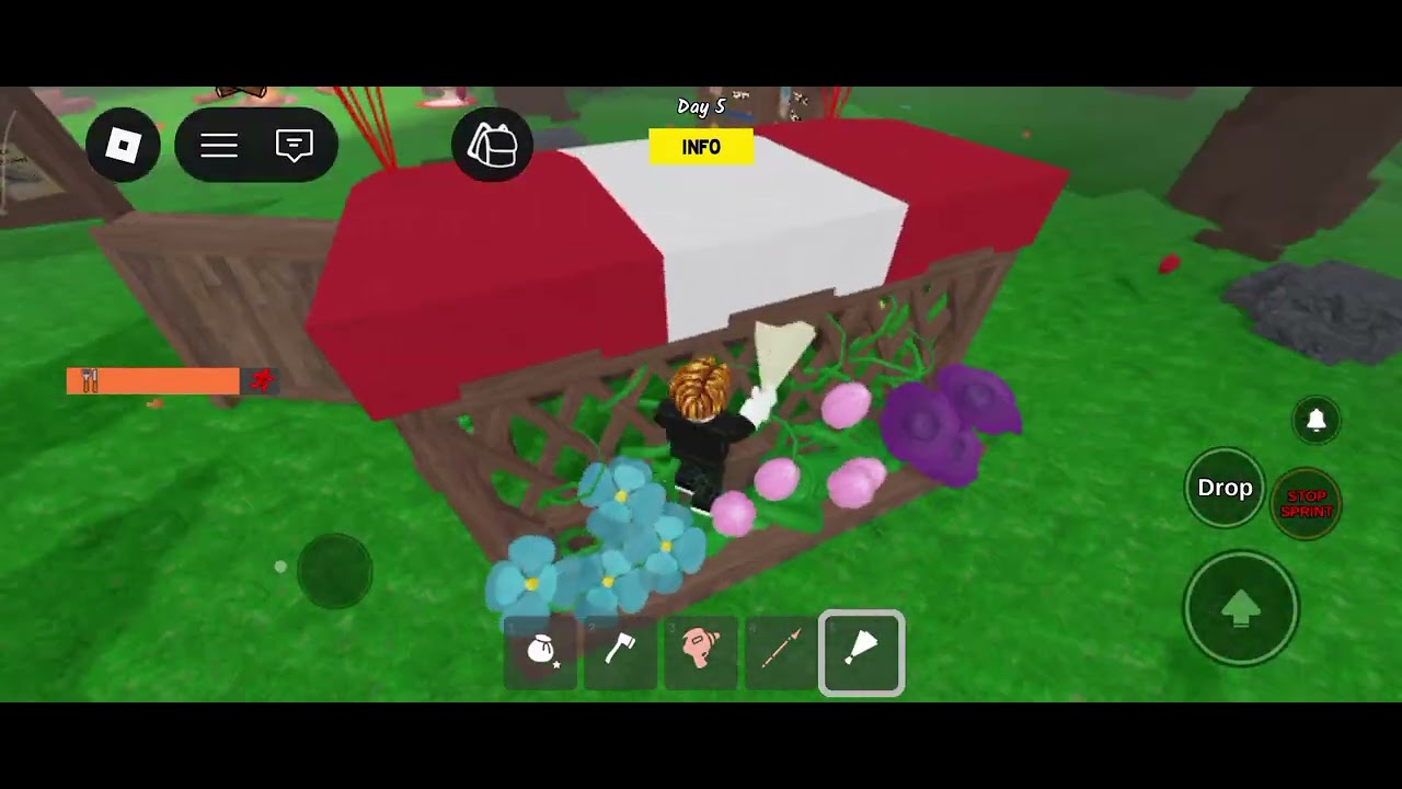 Playing 99 Nights in the forest 