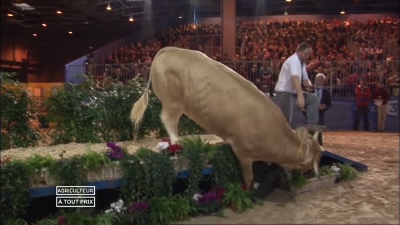 Agriculteur à tout prix - partie 1