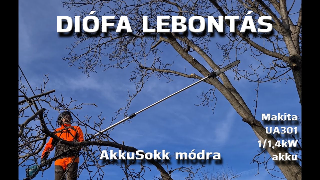 Diófa lebontás AkkuSokk módra - I. felvonás