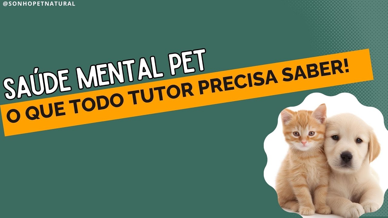 Saúde Mental Pet: - 4 Sinais que assam despercebidos e como ajudar - Visão Integrativa