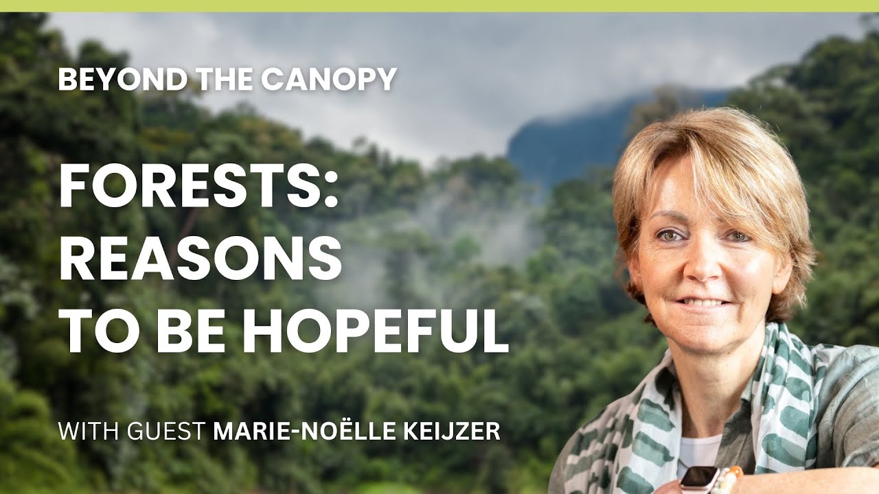 Forests: Reasons to be hopeful with Marie-Noëlle Keijzer - BEYOND THE CANOPY (Full Episode)
