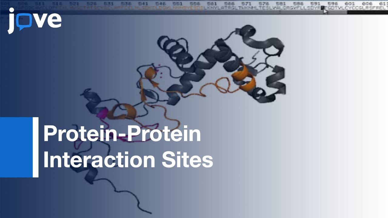 Identifying Protein-Protein Interaction Sites Using Peptide Arrays l Protocol Preview