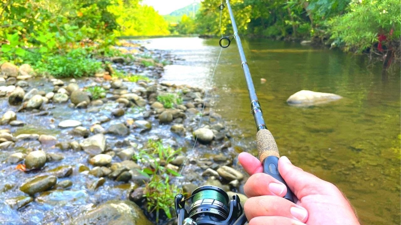 Fishing a CLEAR SHALLOW CREEK has SURPRISING Results...