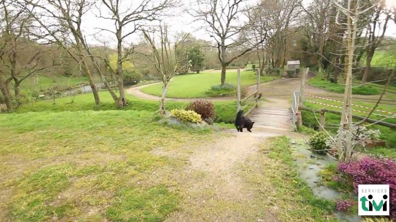 Chenil Saint-Roch, Pension pour chiens et chats &agrave; Taul&eacute; (Finist&egrave;re, 29) TiVi Guide