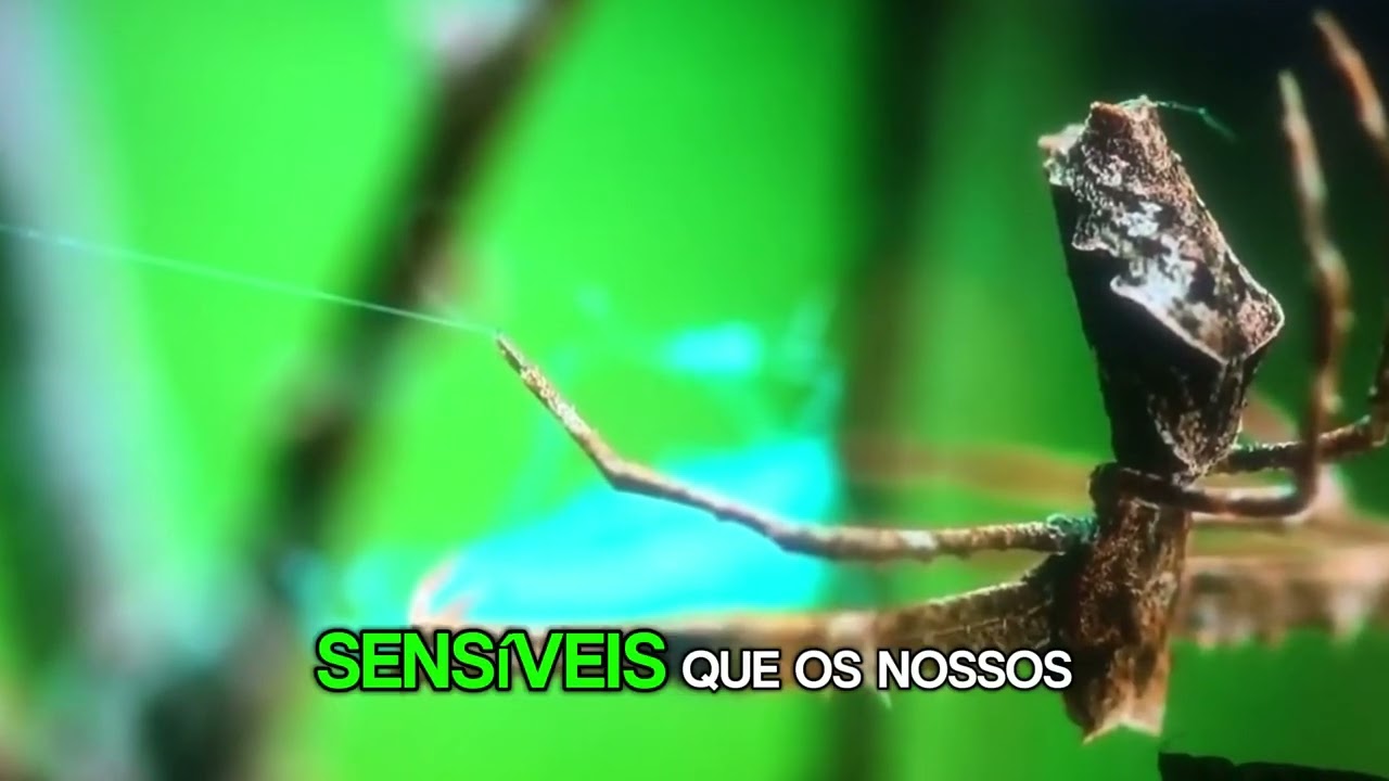 13 de janeiro de 2026