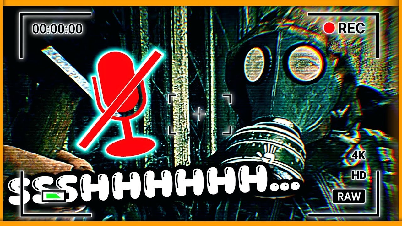 IF YOU PLAY THIS GAME YOU CAN'T TALK... EVER!!! - Panicore Funny Moments