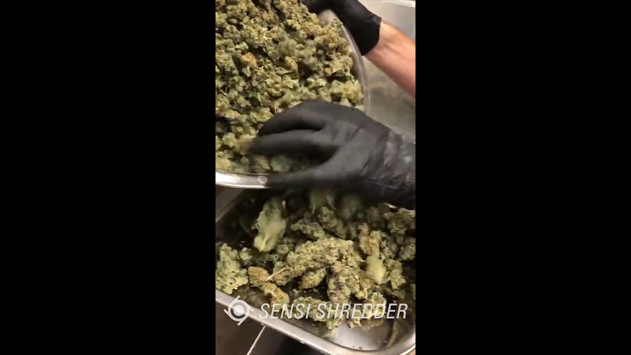 Cannabis Extraction Equipment - Hemp Grinder Shredder - 30 Sec