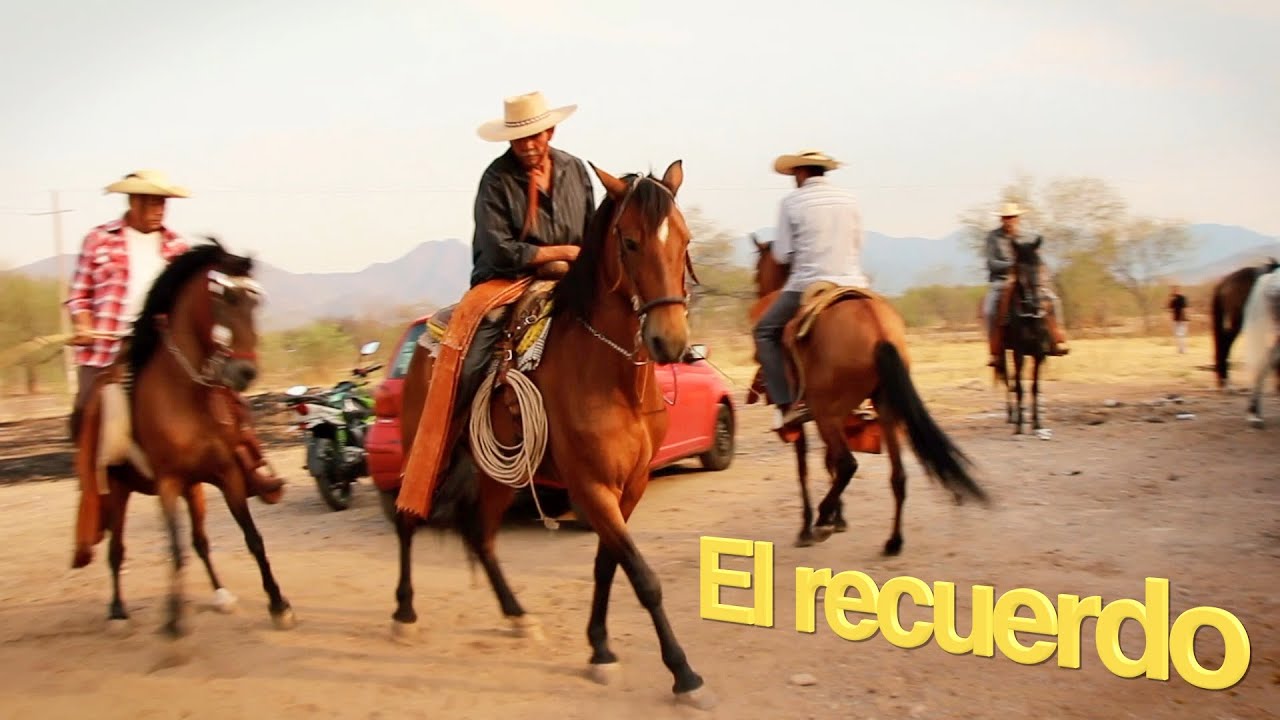 El recuerdo y La alejandría (en El Lindero) - Conjunto LINDERO