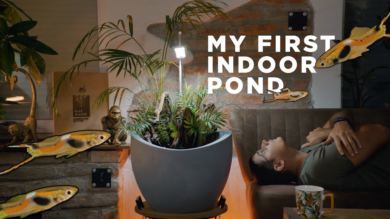 My first INDOOR POND - Step by Step TUTORIAL