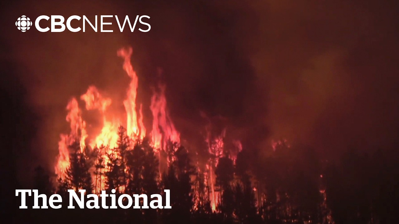 Two B.C. wildfires merge, homes destroyed