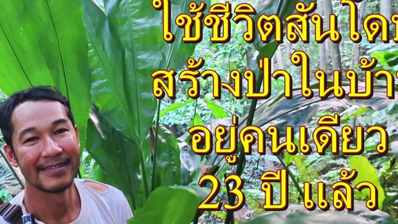 แบงค์ชายผู้รักสันโดษ,ใช้ชีวิตอยู่บ้านคนเดียว,ปลูกป่ารอบบ้าน,อยู่มา 23 ปี แม่ฮ่องสอน