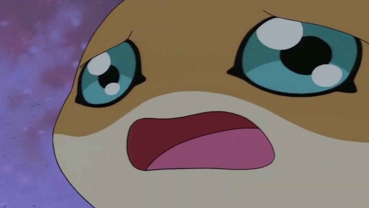 [나혼자친다]Butterfly(디지몬어드벤처 극장판Op.) 기타커버 _ 밴드 다하다