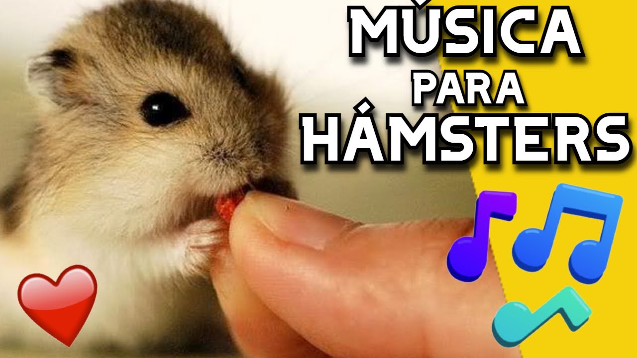 🐹💤 Расслабляющая МУЗЫКА для Хомяков * 2021 * 🐹💤 - Музыка для сна хомяков 🐹💤