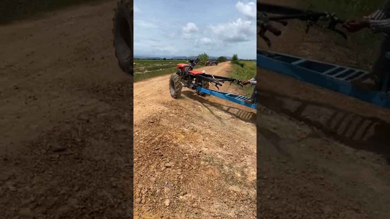 Small tractors transport rice from rice fields 